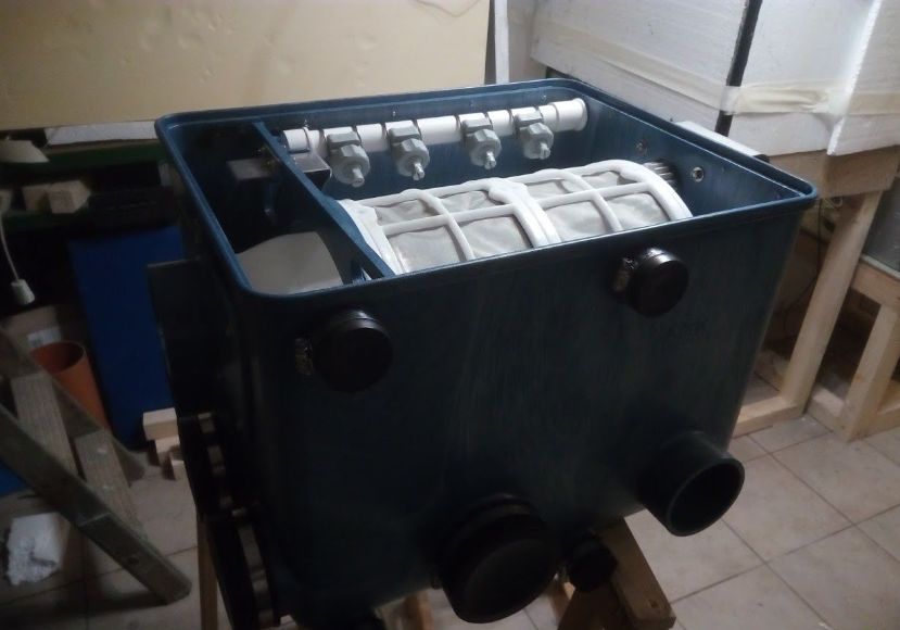 自己做大型水陆缸,在家自己打造一个沙漠缸