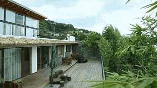 40岁大叔钓鱼,40岁大叔买下一座岛