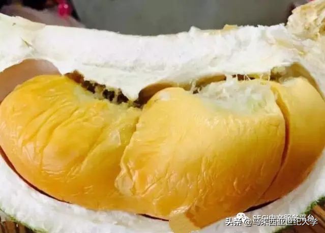 马来西亚榴莲品种大全,马来西亚d14榴莲是什么品种