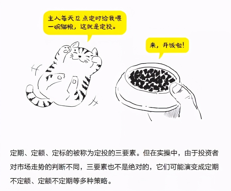 基金小白入门买什么书,基金怎么买新手入门