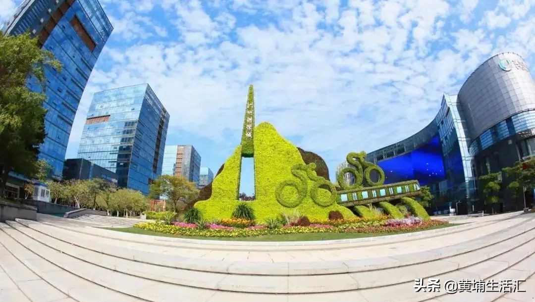 黄埔科学城核心区,黄埔香雪和番禺万博