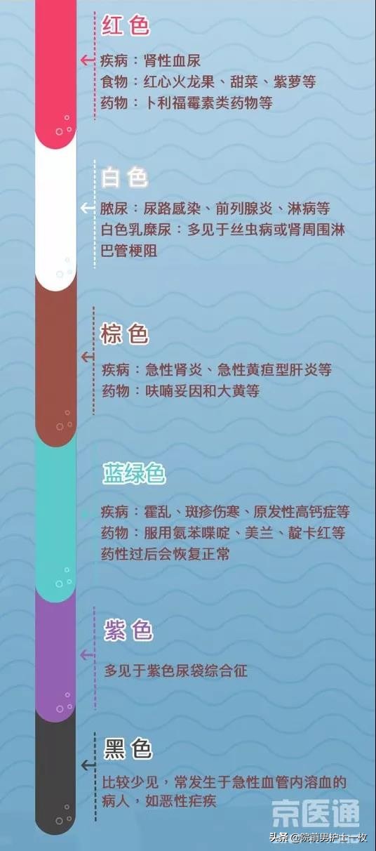 如何看懂尿常规,教你如何看懂尿常规报告