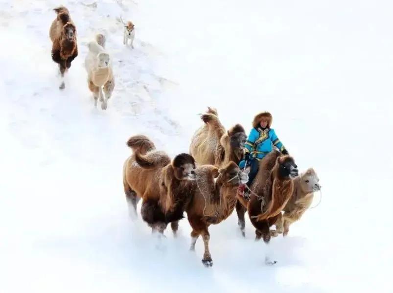 冬已至春来到,冬天去通辽草原