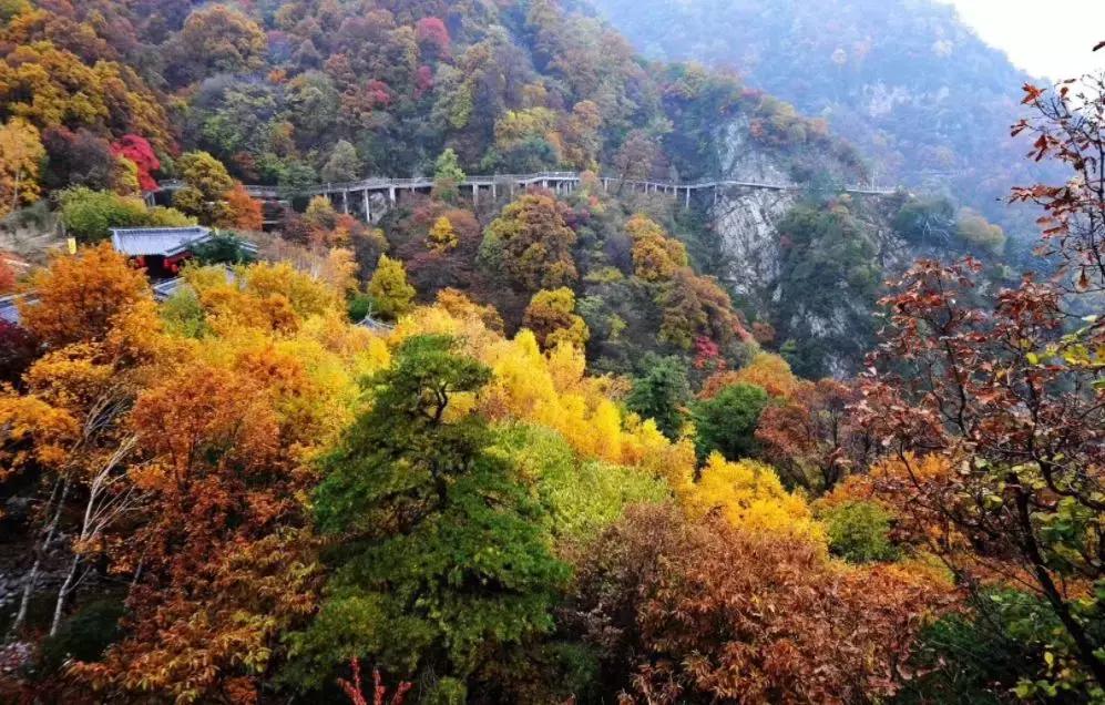 停车坐爱枫林晚霜叶红于二月花,西安秋季开车看红叶最好去处