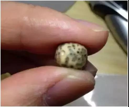 星月菩提可以碰水吗？实验结果告诉你