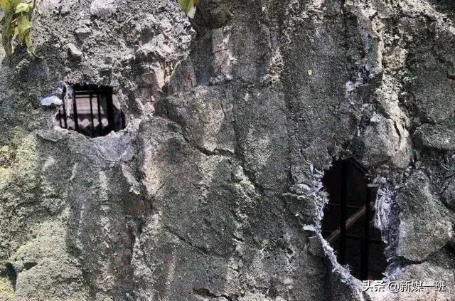 皓衣行路透爬楼梯,皓衣行路透打戏