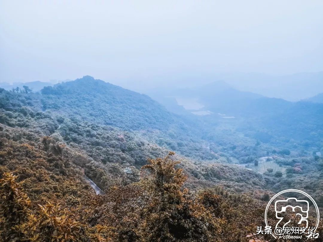 广州南沙黄山鲁森林公园攻略,广州黄山鲁森林公园好玩吗