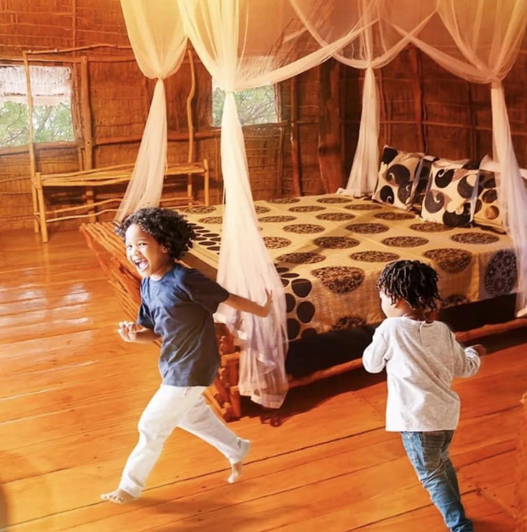 看了就想养的宠物,看了就想抱的宠物