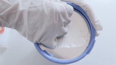 伊利金领冠睿护草饲新包装,伊利金领冠珍护奶粉4段评测