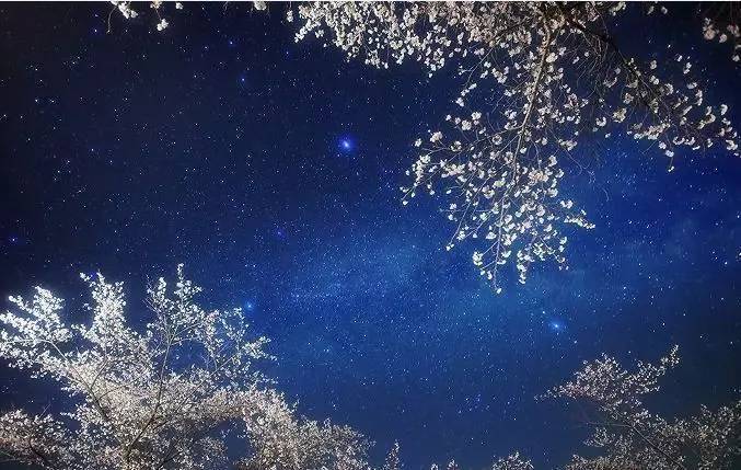 最浪漫的古诗词,古诗词中最浪的八句表白