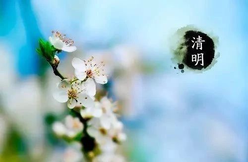 有关清明节的古诗词集锦,清明节古诗词及名句