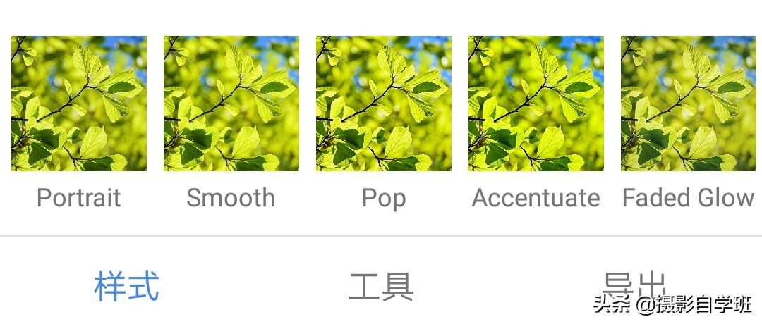 怎么拍出有质感的植物,如何拍出植物特别绿