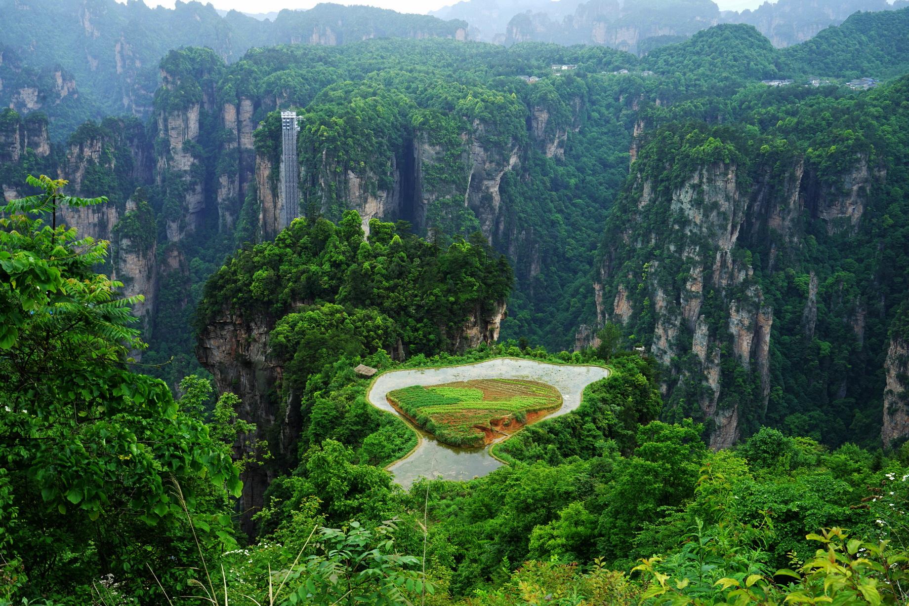 公务员考试题目醍醐灌顶,醍醐灌顶公务员题目