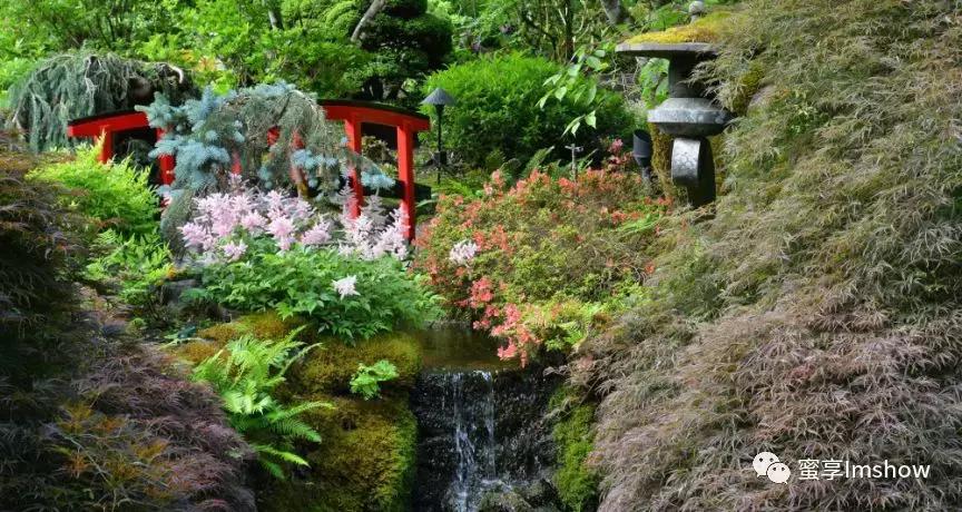 走进爱丽丝梦游仙境,爱丽丝梦游仙境绝美森林