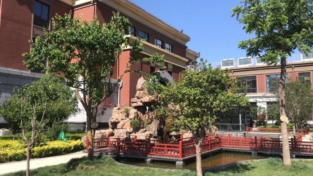 许昌市实验中学招生电话,许昌魏都区实验中学招生公告