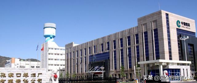 钱多事少离家近蛮荒记,钱多事少离家近一样都不沾边