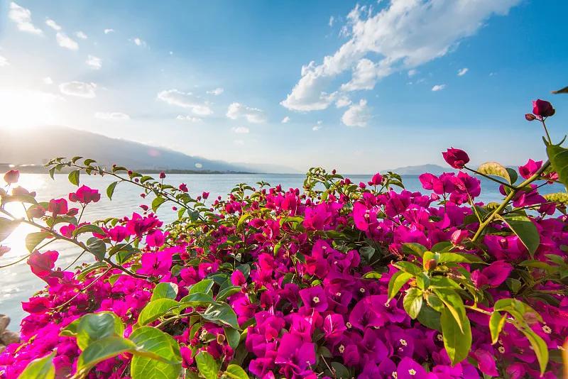 去云南人生感悟,来到云南才知道什么是云