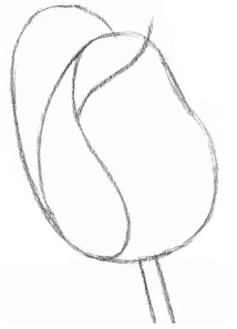 素描玫瑰花高级感的画法,素描玫瑰花画法步骤图