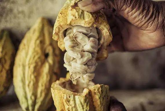 山东欧米奇烘焙视频,山东欧米奇西点西餐学院靠谱吗