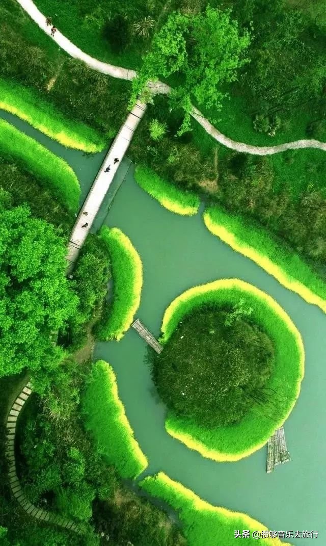 来成都逛绿道,逛绿道