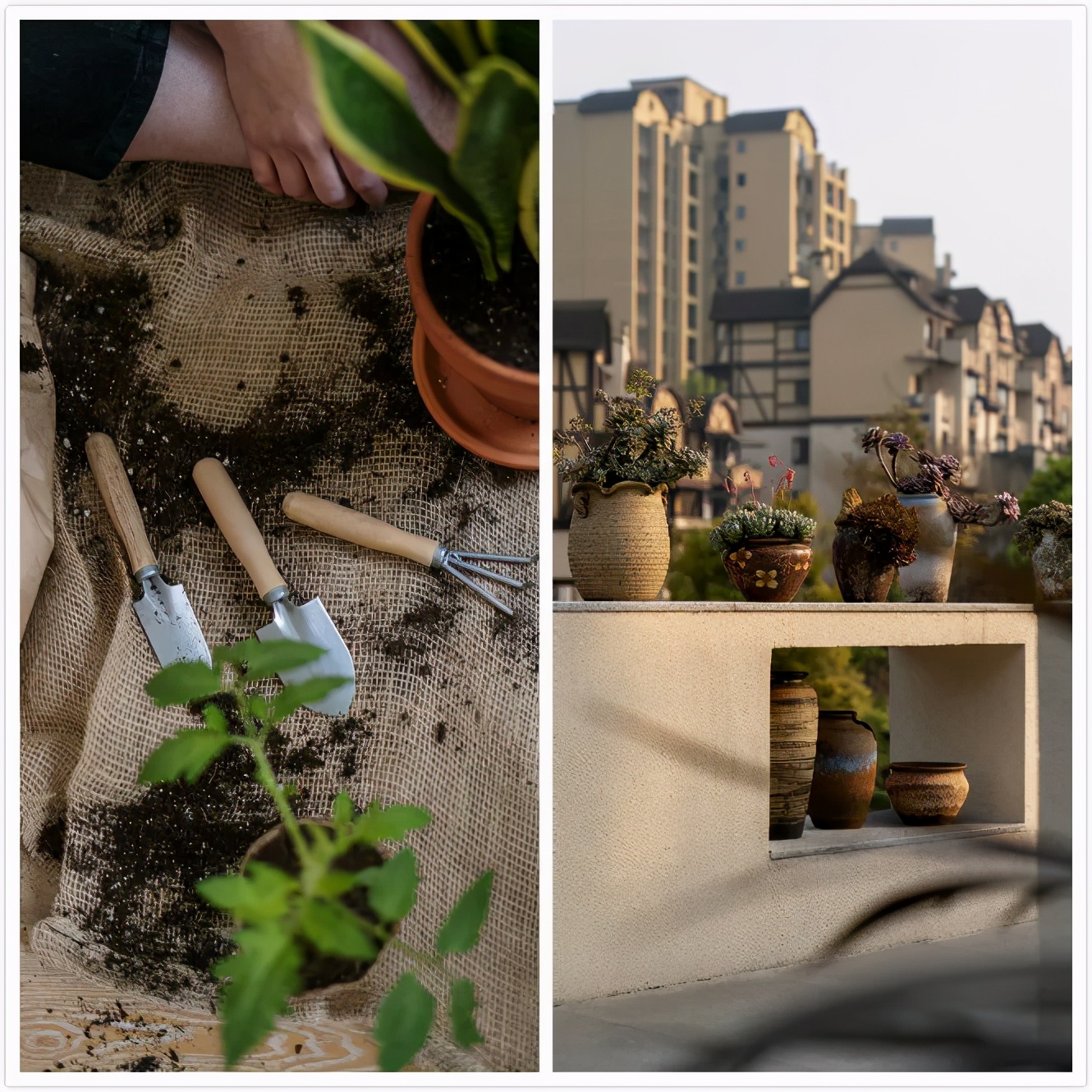 胡均新作|300㎡山水别墅，女企业家的自然田园梦