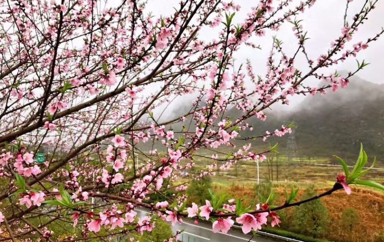 北京郊游去的民宿,北京郊游民宿
