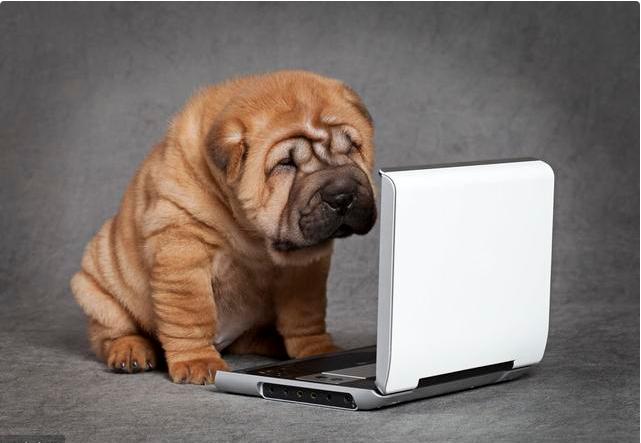 美工专业薪资,美工为什么工资那么高