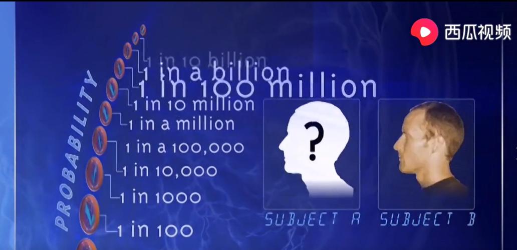 天网恢恢疏而不漏的网意思,天网恢恢疏而不漏的天网是什么