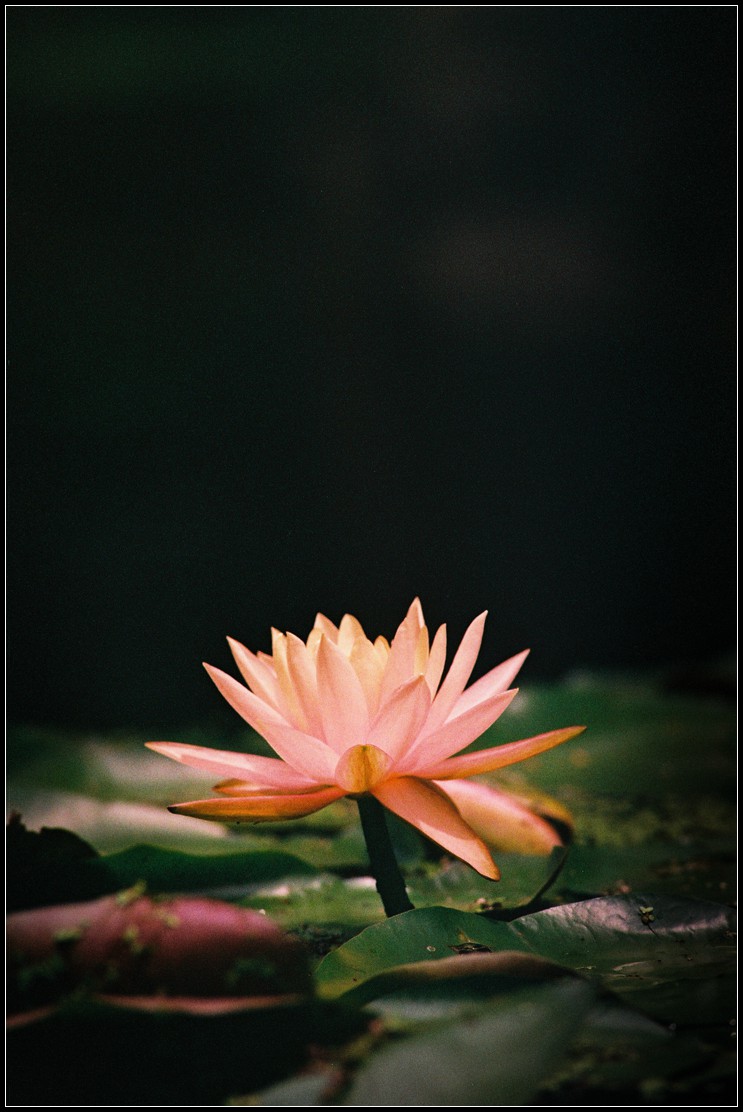 关于二手设备的问题,关于二手东西