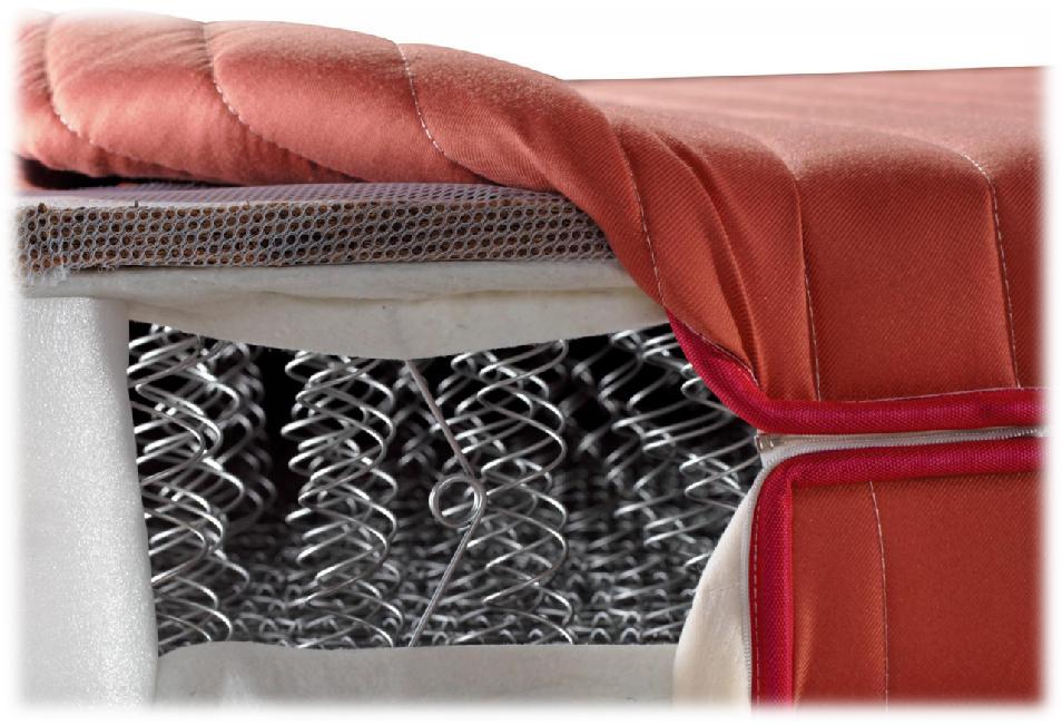 科学砰砰秀之弹力世界