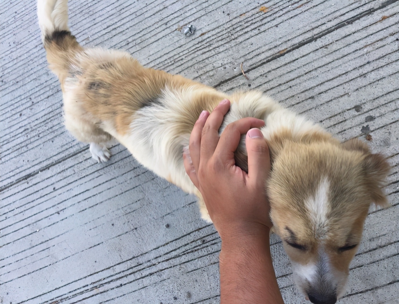 菲律宾自由行旅游攻略地图,菲律宾10天深度游