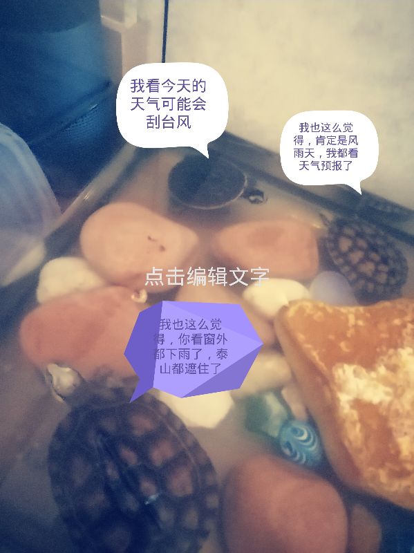 小水滴旅行记6章顺序图,小水龟旅行记