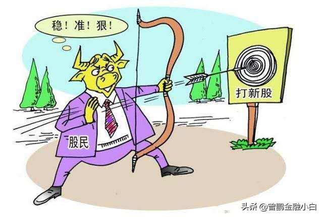 打新股为什么不能看到中签,打新股怎么不赚钱了