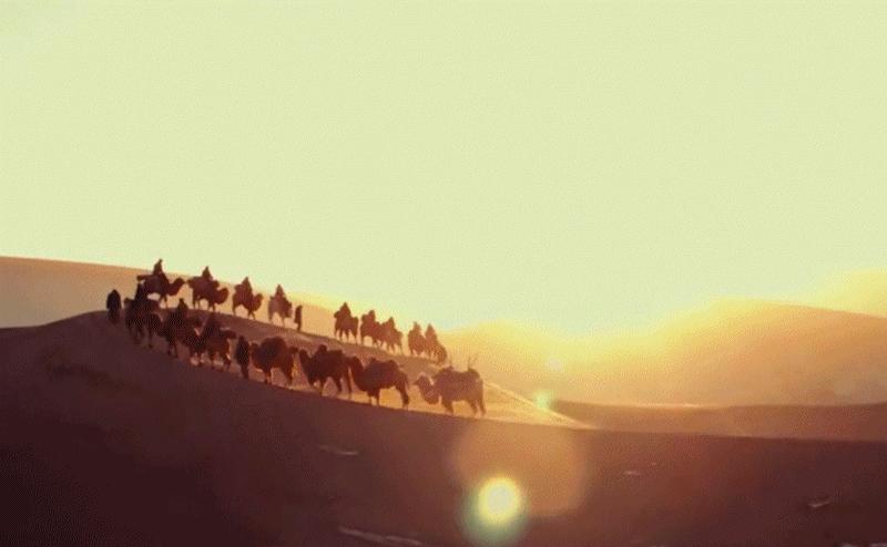 真是狗嘴里吐不出象牙,狗嘴里吐不出象牙但可以吐出蛇头