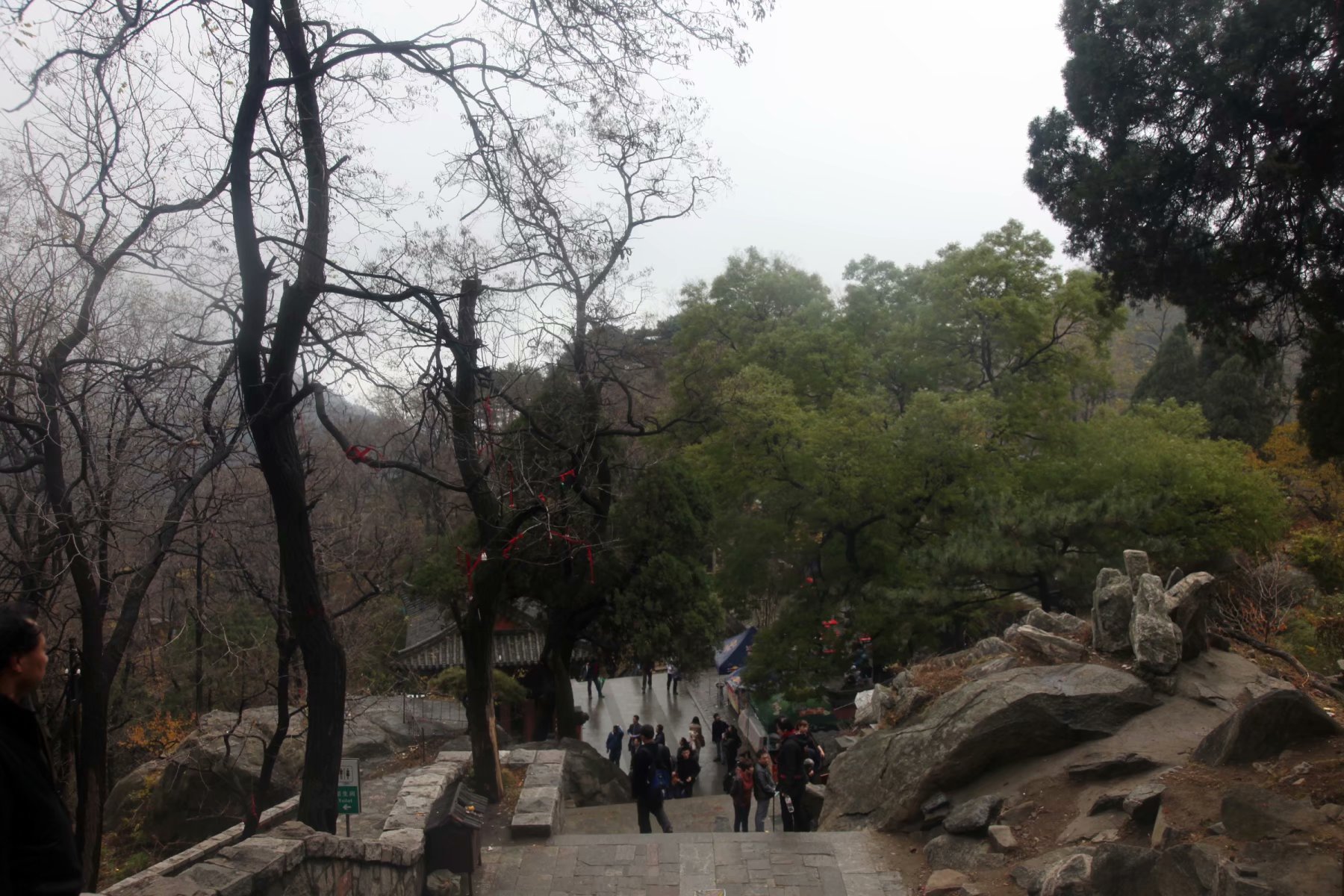 泰山景区在山东哪个市,泰山孔子庙在泰山的位置