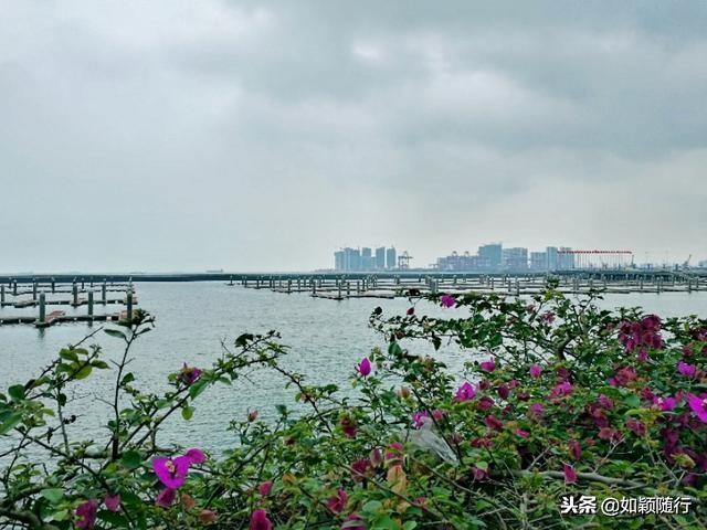 海口西金银广场到西秀海滩位置,海口离市区最近的海滩