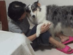 爸妈养宠物之后，就没你什么事了