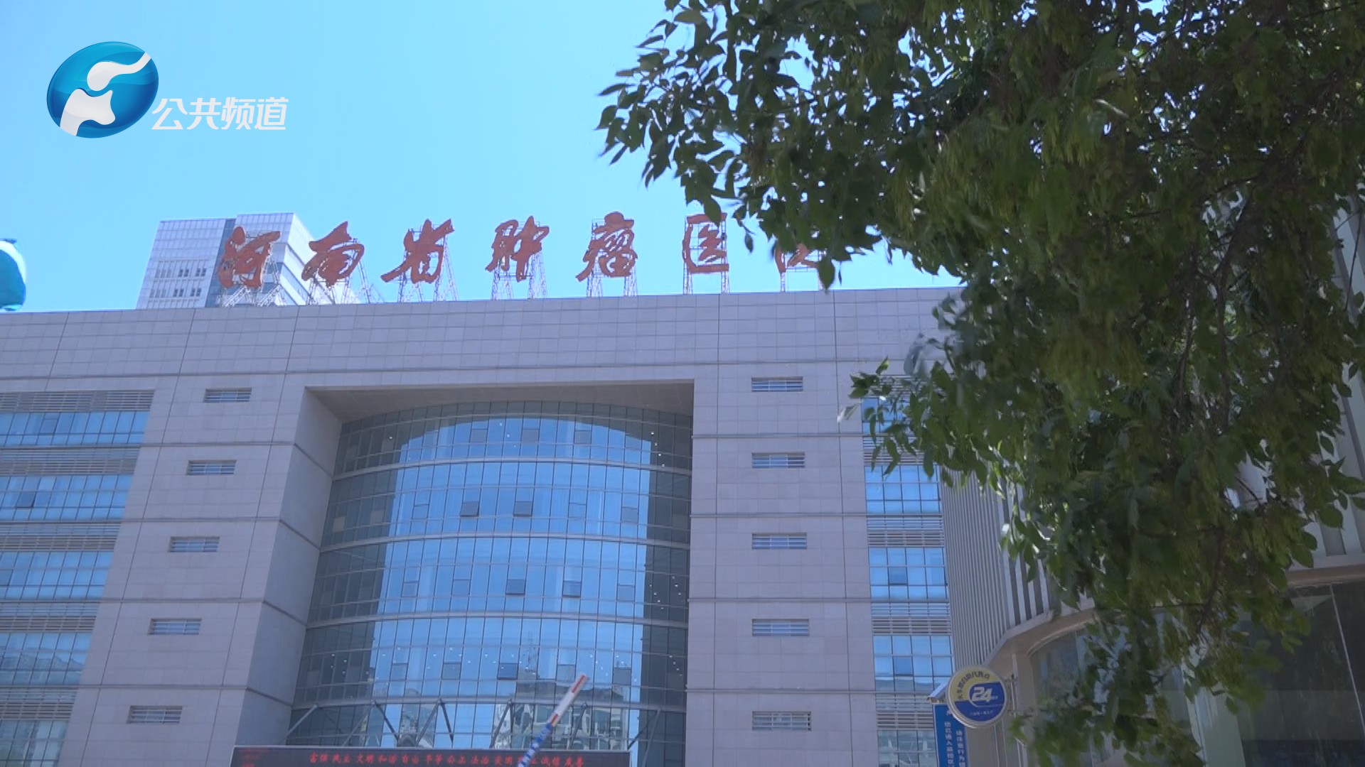 最心疼你的人是我：河南省肿瘤医院疼痛科副主任谢广伦博士