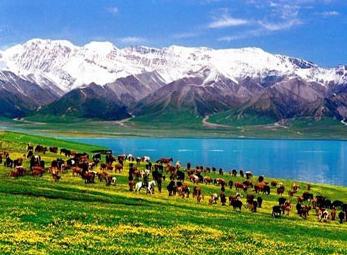 第一次去南疆旅游怎么玩,旅游去南疆好还是北疆好