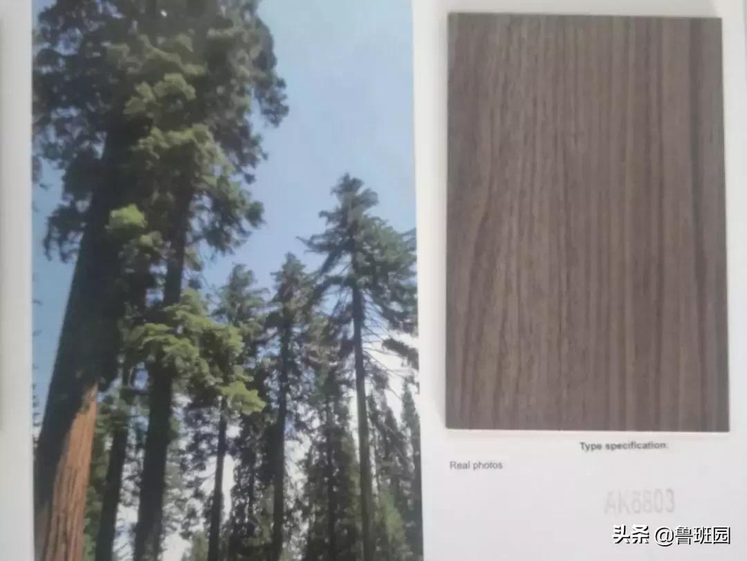 赢在起跑线上的进口刨花板——不得不服气的五大优势！