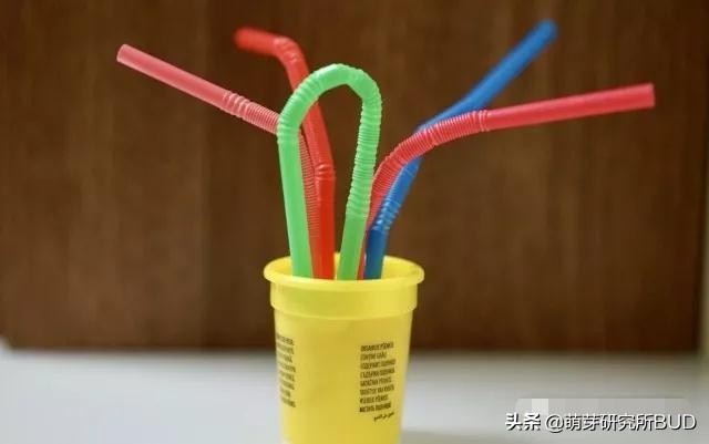 熊孩子旅行游戏攻略,熊孩子外出游戏攻略