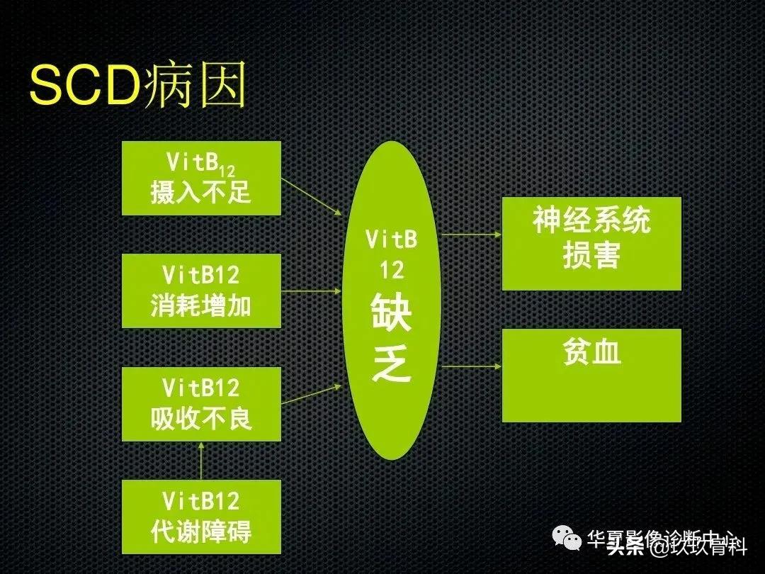 颈椎病脊髓变性mri表现,脊髓亚急性联合变性的诊断
