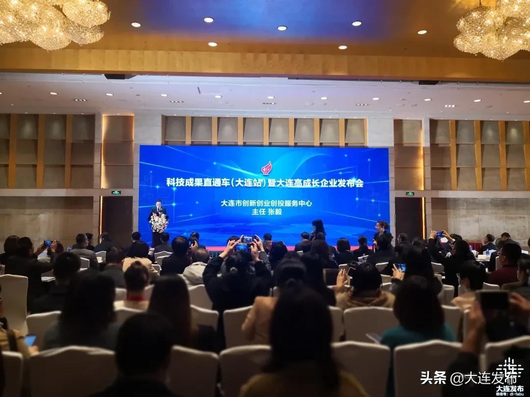 大连各企业名单,大连有哪些知名企业