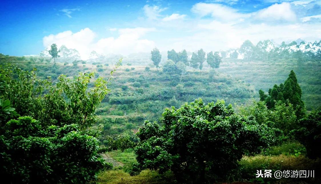 那种感觉只有在洪雅才可以感觉出来的