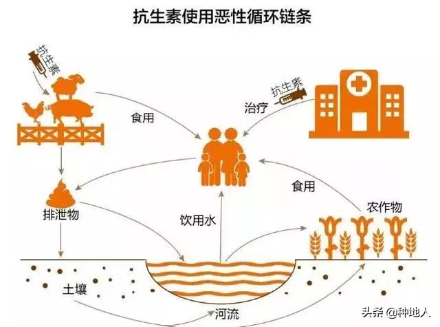 有机肥添加剂,国家对畜禽粪便有机肥的标准