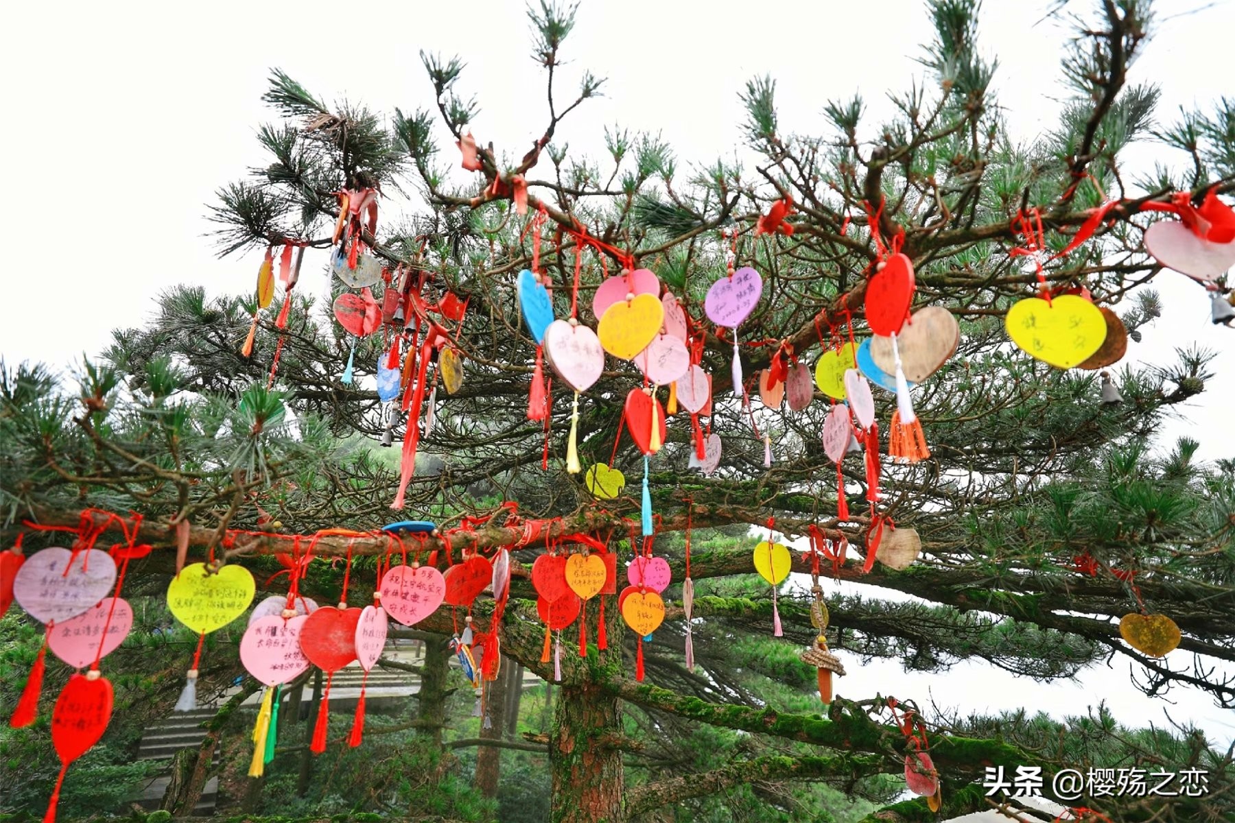 琉璃拍摄现场安徽天柱山,安徽三大名山哪个景色好