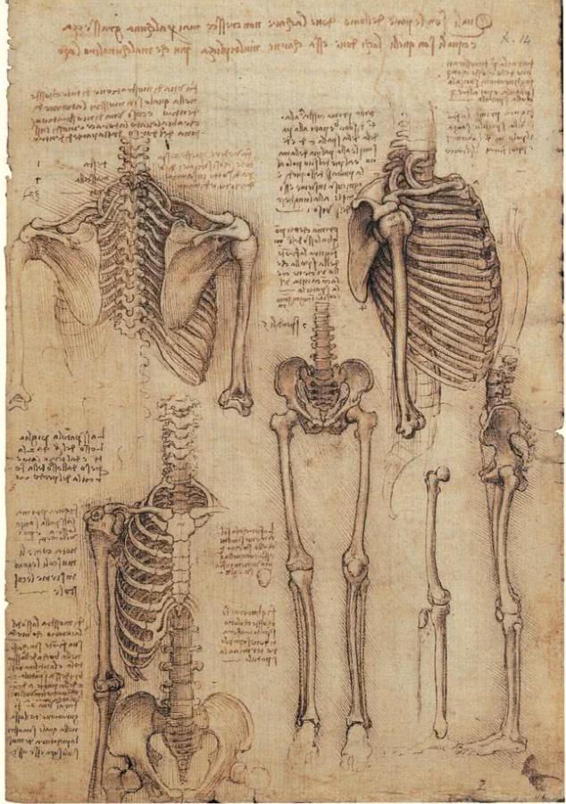 达芬奇绝无仅有的旷世奇才,奇人技能