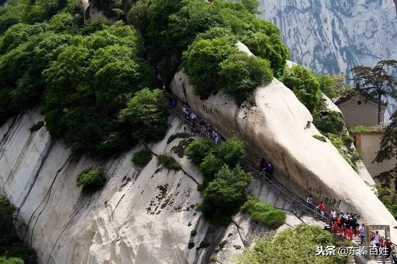 华山景区免费门票预约流程附入口,华山景区门票预约攻略最新
