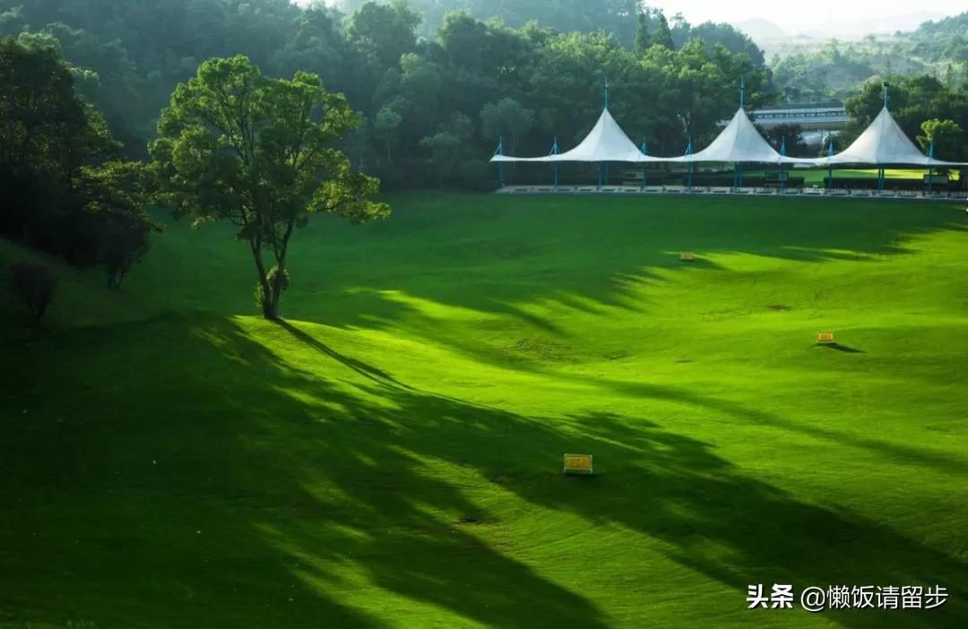 桐庐五星级度假酒店排名前十,桐庐富春江酒店推荐