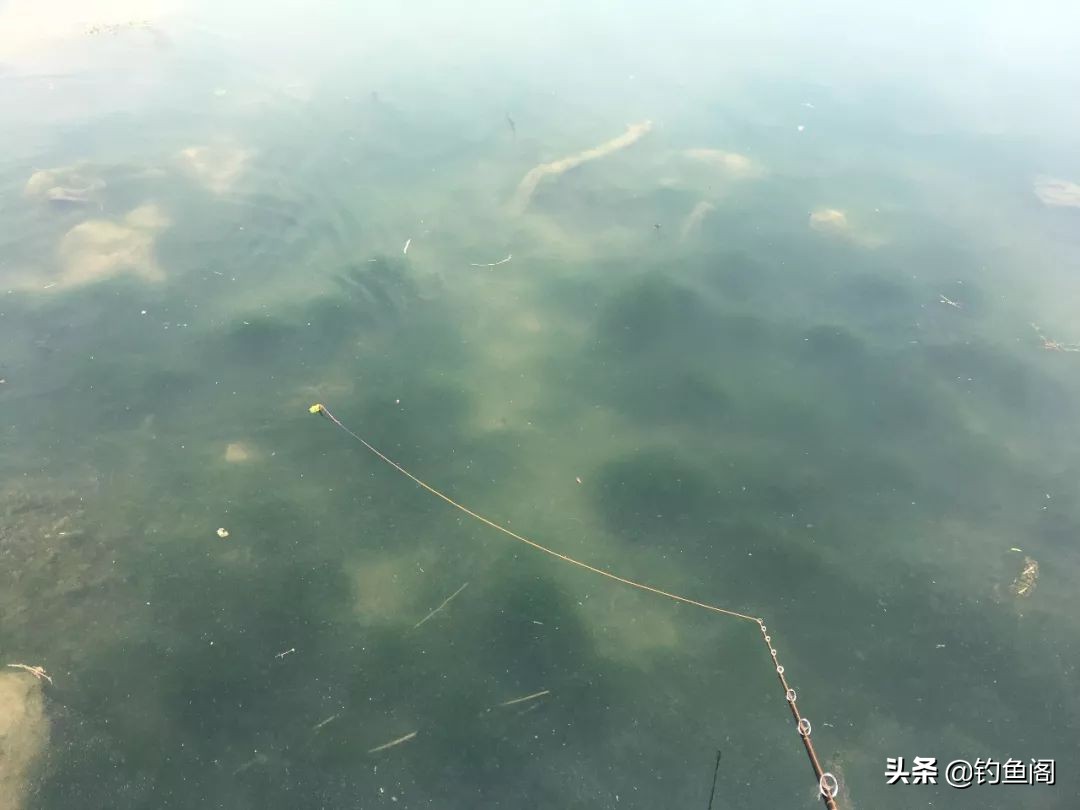 路亚新手钓黑鱼装备推荐,路亚黑鱼纺车轮选3000还是4000